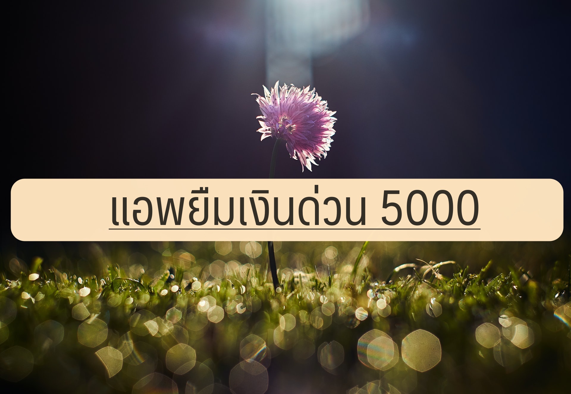 แอพยืมเงินด่วน 5000