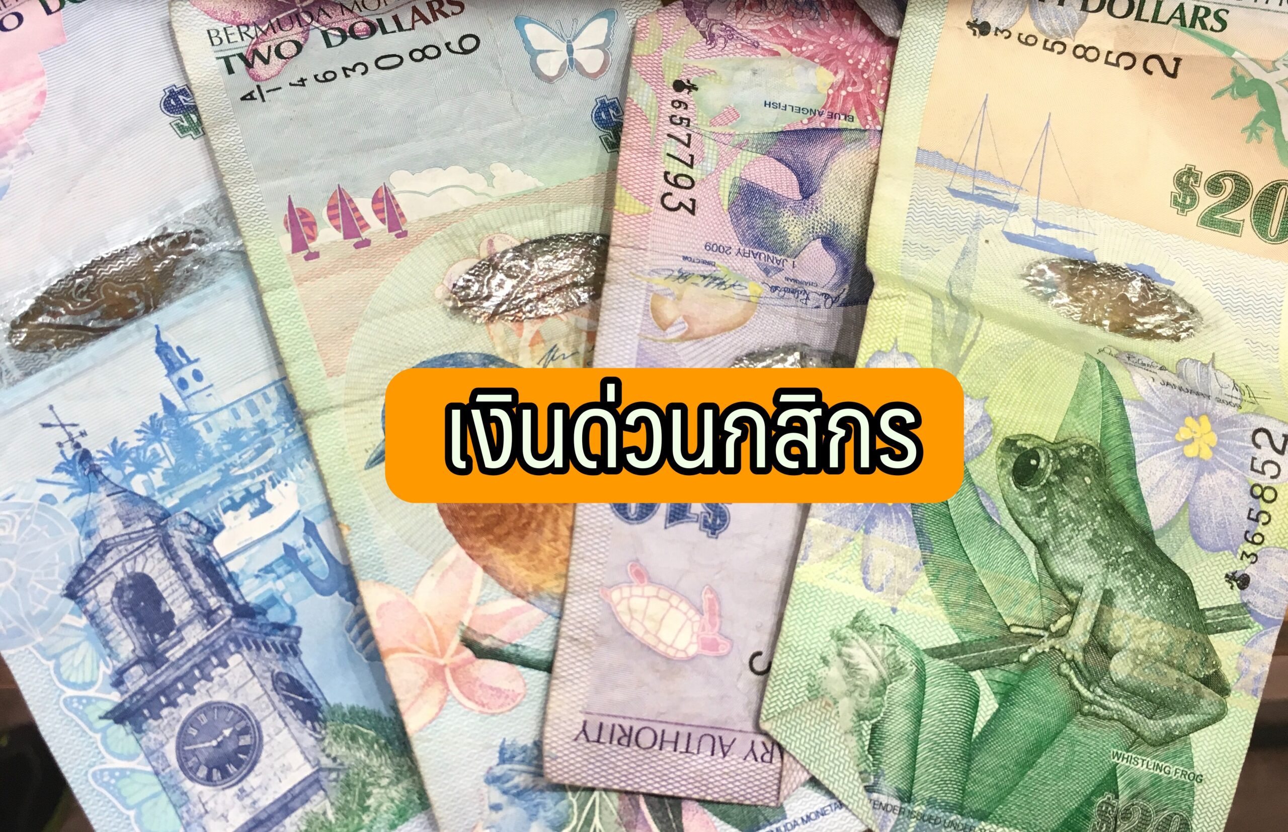 เงินด่วนกสิกร 5000 50000 บาท