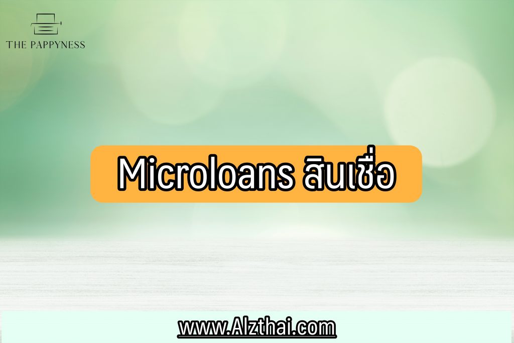 Microloans สินเชื่อ 2566 สมัครไมโครเครดิตออนไลน์ 