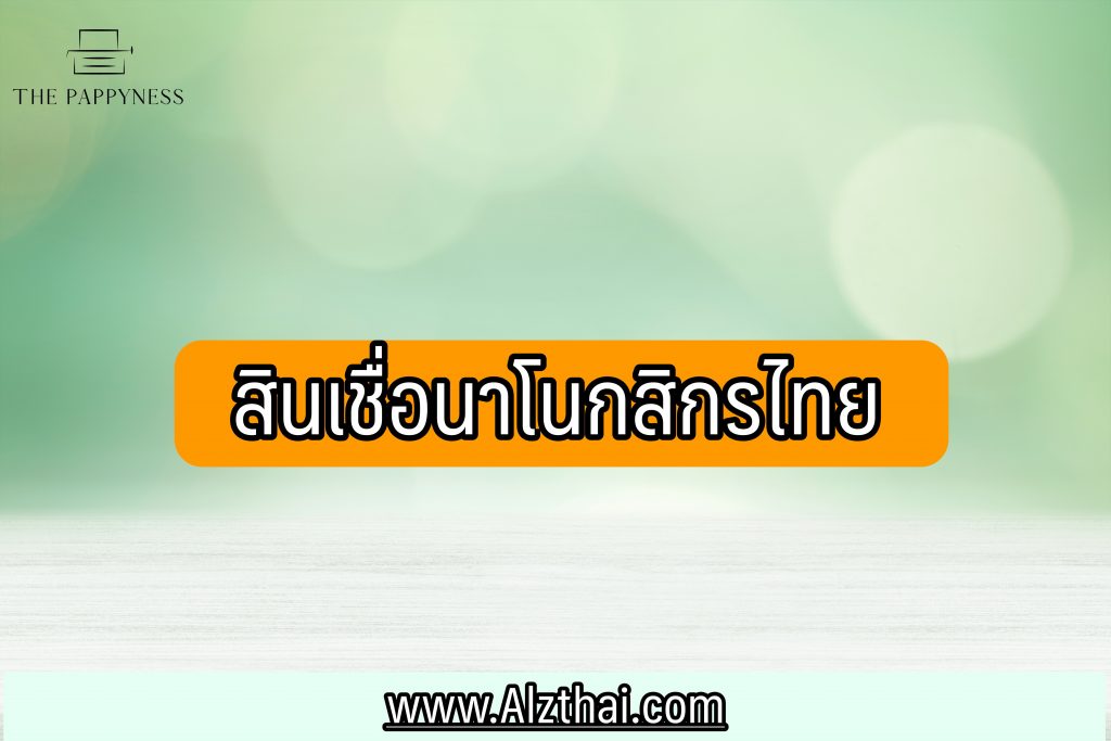 สินเชื่อนาโนกสิกรไทย 2566 สินเชื่อผู้มีรายได้น้อยกสิกร 