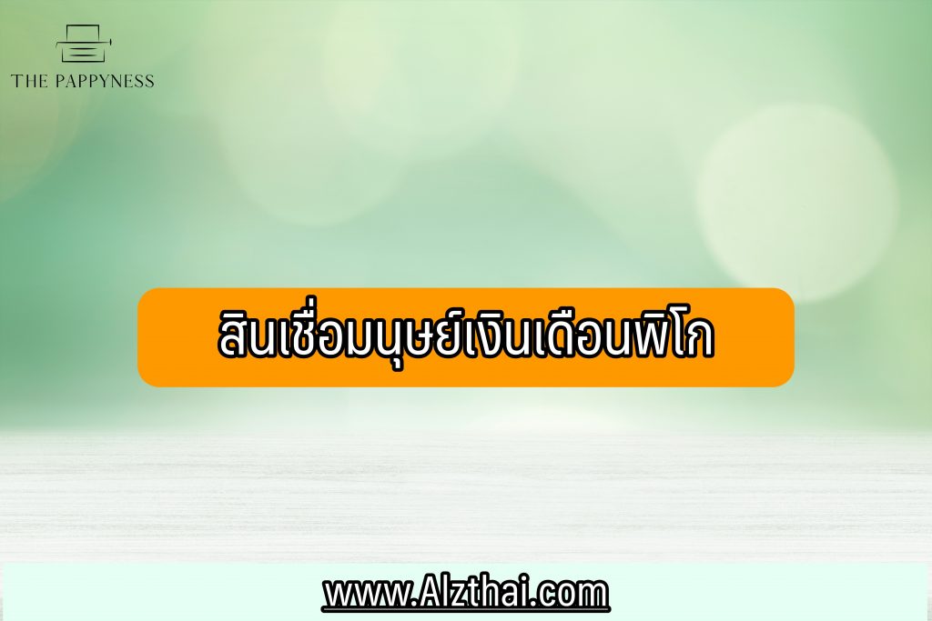 สินเชื่อมนุษย์เงินเดีอนพิโก สมัครได้ไหม 2566