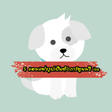 5 แอพแต่งรูปเป็นการ์ตูน ios ฟรี 2023