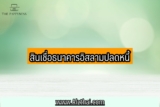 สินเชื่อธนาคารอิสลามปลดหนี้ สินเชื่ออเนกประสงค์แบบไม่มีหลักประกัน 2566
