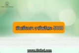 เงินเยียวยา อาชีพอิสระ 5000 ฟรีแลนซ์ ม.39/40 ลงทะเบียน ใครได้บ้าง